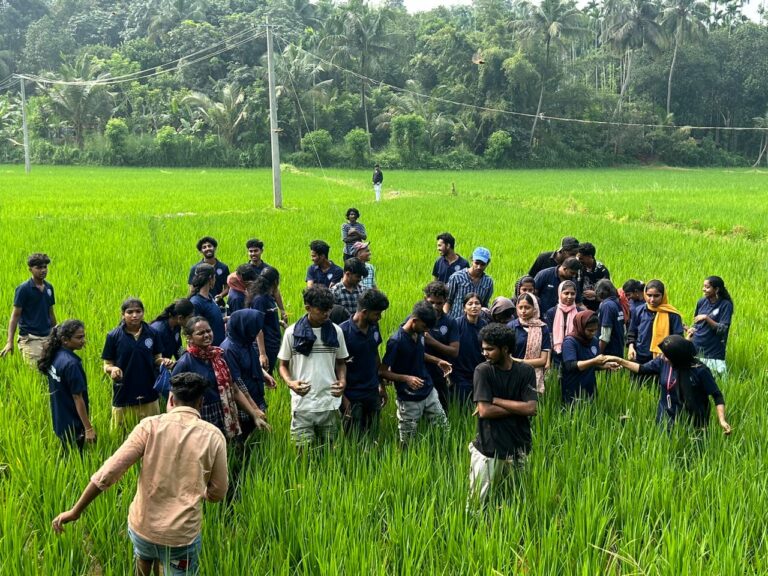 WhatsApp Image 2025-07-23 at 1.19